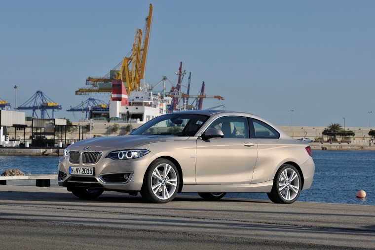 2014 BMW 2-Series - Picture / Pic / Image